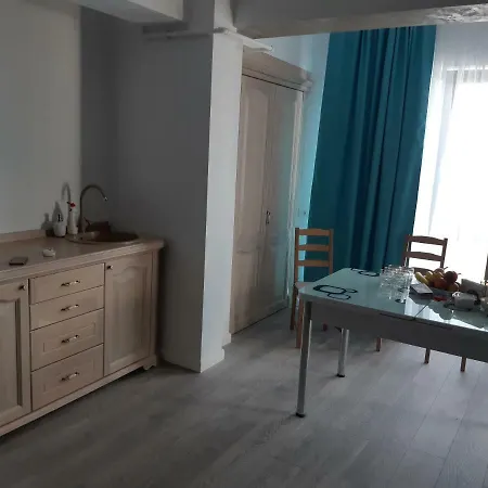 公寓 Apartament Sophi Nord 马马亚